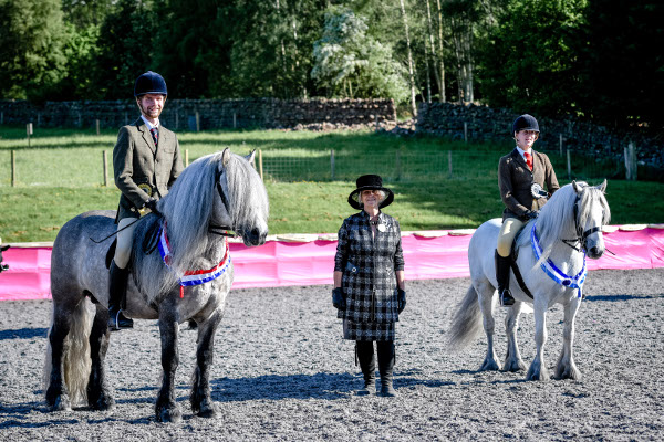 champion highland pony and reserve champion fell pony in an outdoor school with the show judge